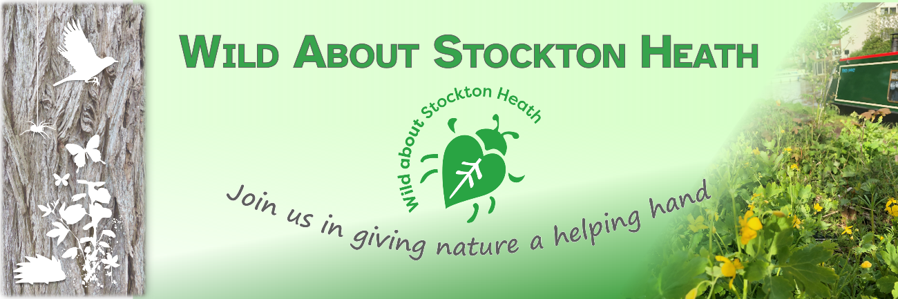 Wild About Stockton Heath
